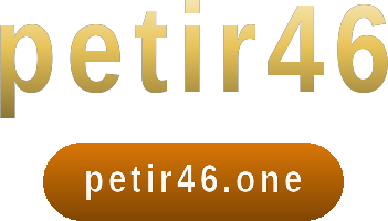 petir46 logo